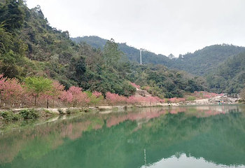 厦门野山谷景区第 30 张图片