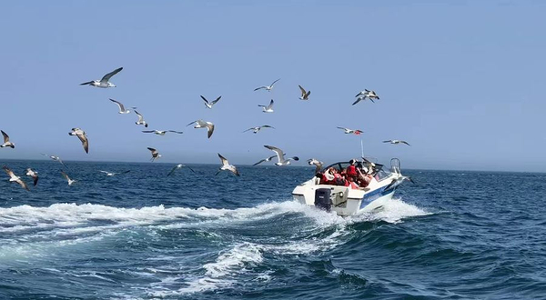 凉水湾游船体验中心