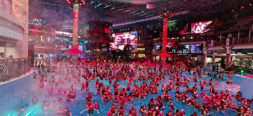 涞源湖热带海洋世界第 7 张图片