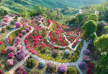 婺源篁岭景区第 100 张图片