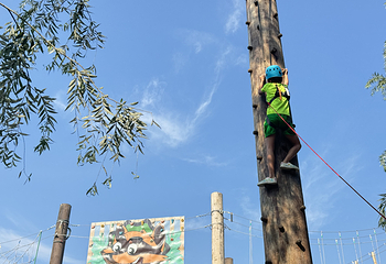 吉姆都市冒险世界第 18 张图片