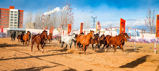 西那母生态旅游度假区第 10 张图片