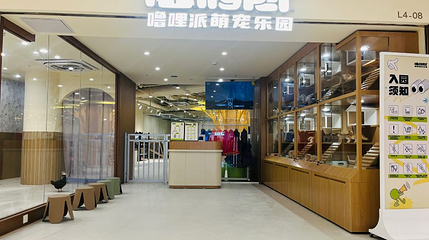 lollypet噜哩派萌宠乐园(罗湖国贸店)第 1 张图片