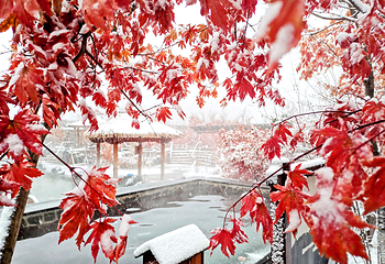 花溪沐枫雪温泉旅游度假区第 8 张图片