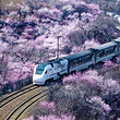 居庸关长城