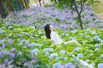 漫花庄园第 61 张图片
