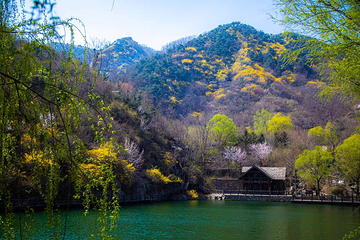 九如山休闲旅游度假区第 226 张图片