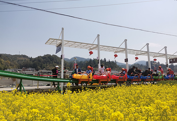 镇北艺术田园景区第 20 张图片