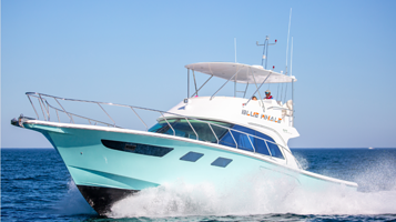 铭风游艇俱乐部(清水湾店)