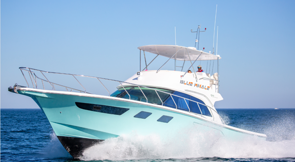 铭风游艇俱乐部(清水湾店)