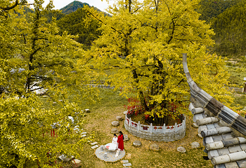 宜春明月山旅游区第 58 张图片