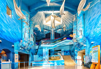 澎湖水族馆第 1 张图片