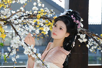 东山问梅村第 10 张图片