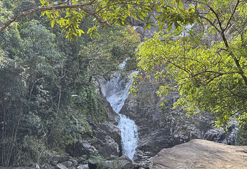 霸王岭第 46 张图片