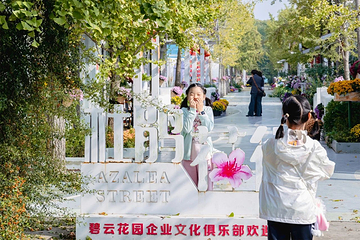碧云花园第 22 张图片