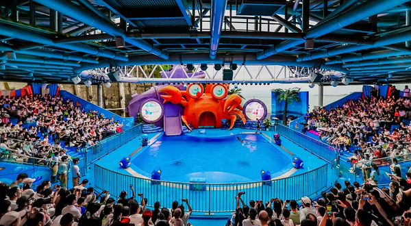 小梅沙海洋世界-海狮海象秀