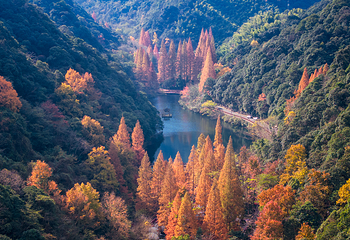 宁海森林温泉旅游度假区第 5 张图片