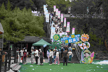 万泉湖第 59 张图片