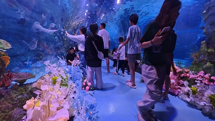 恒远海立方·中山海洋馆第 42 张图片