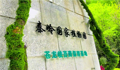 苍龙峡风景区第 23 张图片