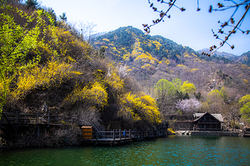 九如山休闲旅游度假区第 192 张图片
