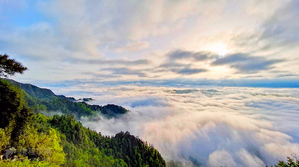 飞鸽景区第 7 张图片