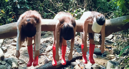 基诺山雨林徒步第 33 张图片