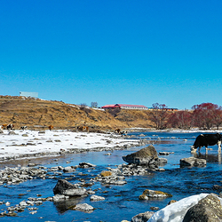 阿尔山国家森林公园