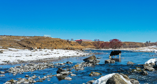 阿尔山国家森林公园