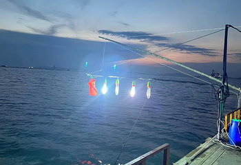 南澳天辰出海捕鱼*海钓*夜捕鱿鱼俱乐部第 10 张图片