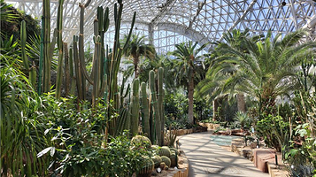 青岛世界园艺博览园植物园