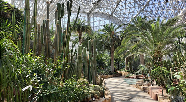 青岛世界园艺博览园植物园