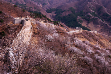 青山关第 18 张图片
