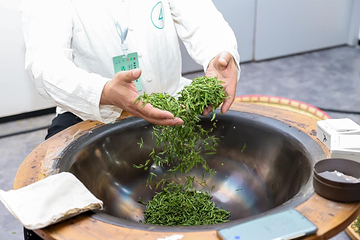 安吉宋茗茶博园第 12 张图片