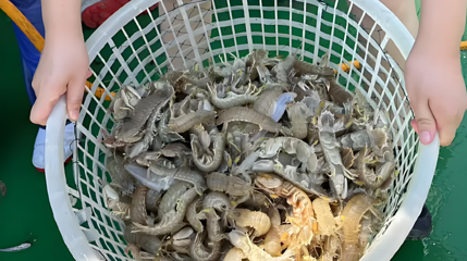 唐山出海捕鱼观光体验中心第 1 张图片
