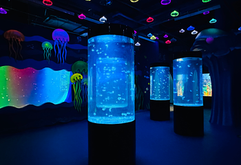重庆海洋世界第 18 张图片