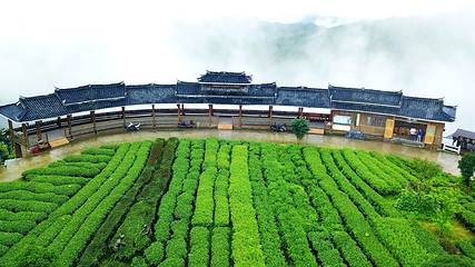仙人山景区第 28 张图片