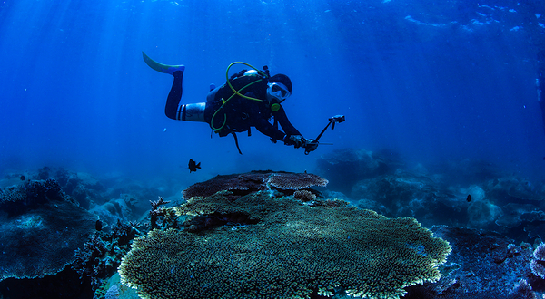 呆呆岛潜水中心