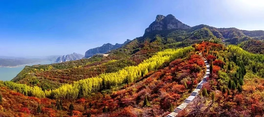 荆紫仙山第 15 张图片