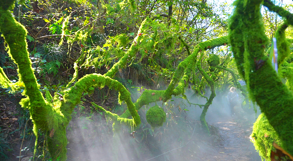 蕲春大峡谷漂流