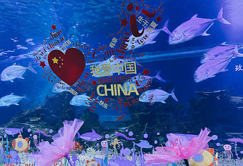 常州海昌海洋探索馆第 45 张图片