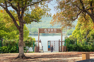 东湖森林烤场第 19 张图片