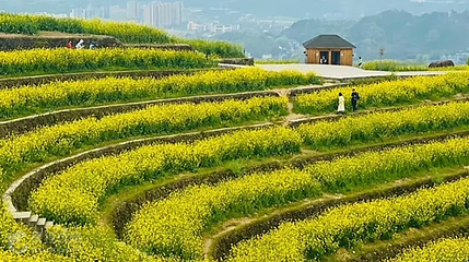 塔崖梯田景区第 4 张图片