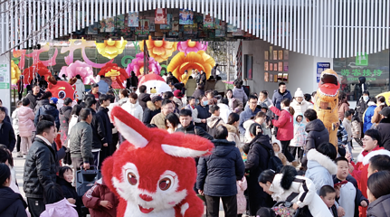 锦绣大明川(树桥公园)第 41 张图片