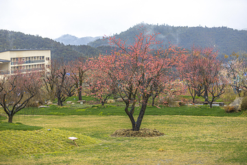 葛仙村度假区第 164 张图片
