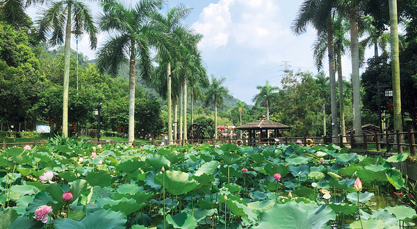 大棠有机生态园