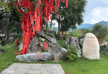 茶趣园第 40 张图片