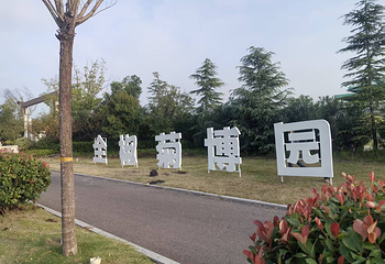 全椒菊博园第 5 张图片