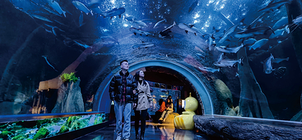 海滨城浩海立方海洋公园