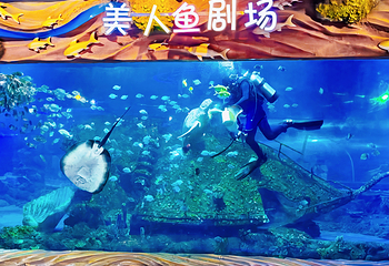 西安海洋馆第 13 张图片